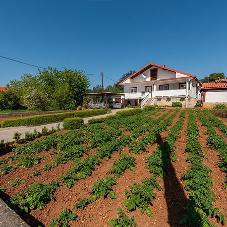 Floyd Apartment Bibinje Bagian luar foto